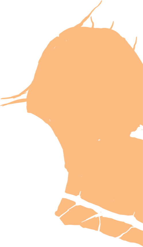 Christliche Gesellschaftslehre